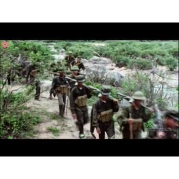 Lives of the jungle – THE VIETNAM WAR